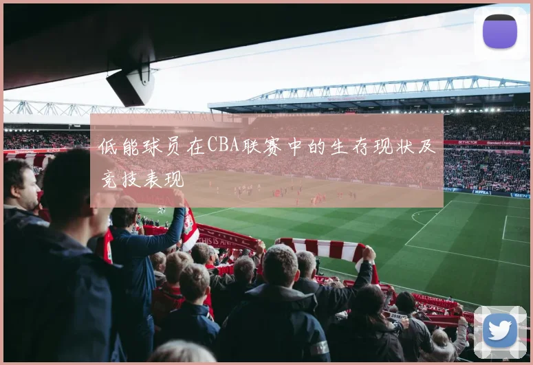低能球员在CBA联赛中的生存现状及竞技表现