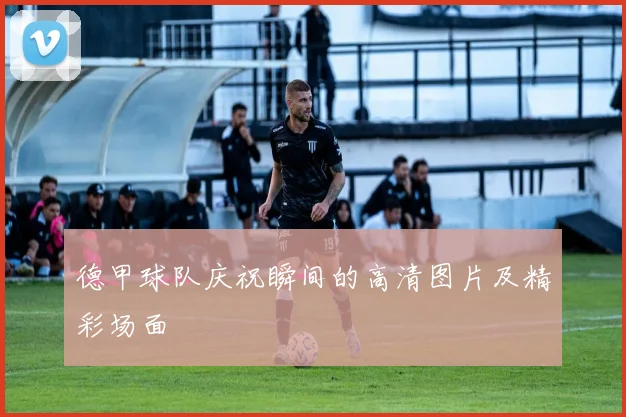 德甲球队庆祝瞬间的高清图片及精彩场面