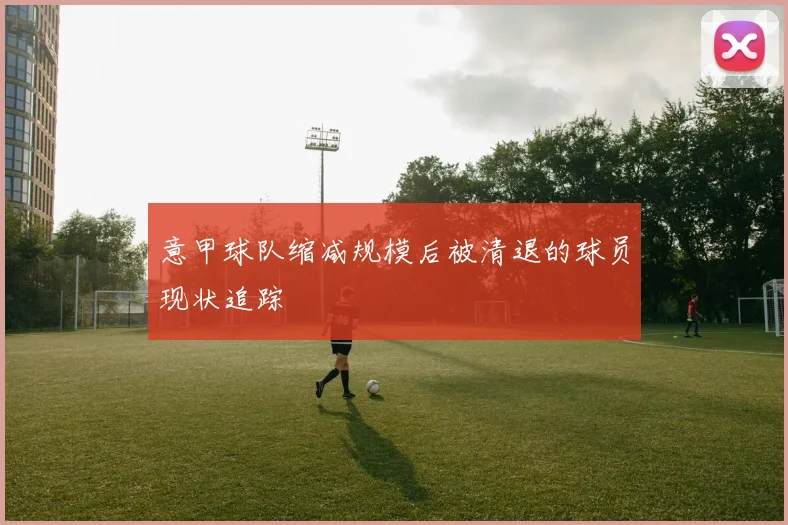 意甲球队缩减规模后被清退的球员现状追踪