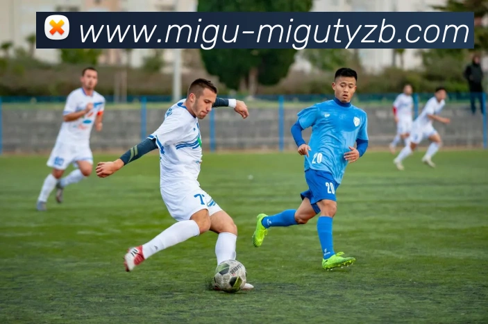 英超与德甲各支球队数量与特点对比分析